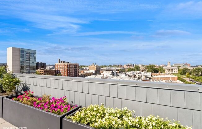 Studio, 1 bath, 266 sqft, $1,130, Unit #202