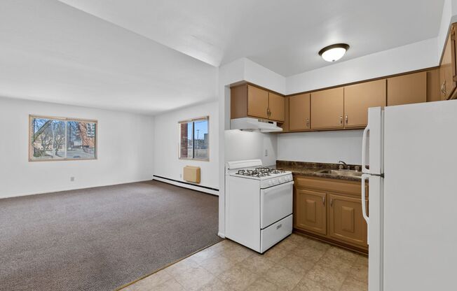 1 bed, 1 bath, 550 sqft, $960, Unit 203