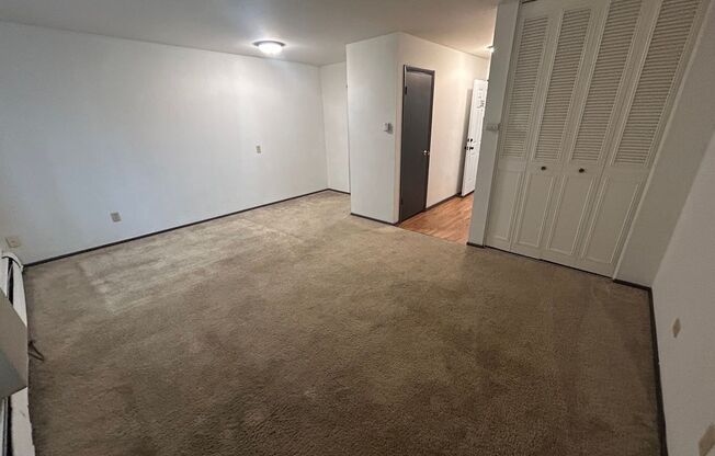 Studio, 1 bath, $875, Unit 206