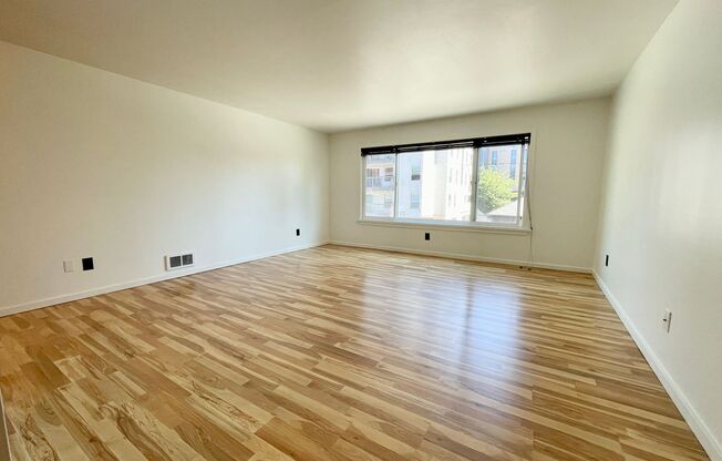 Studio, 1 bath, 464 sqft, $1,425, Unit 205