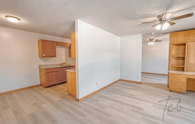 Spacious 1BD / 1BA Apt 1/2 Mile from Campus