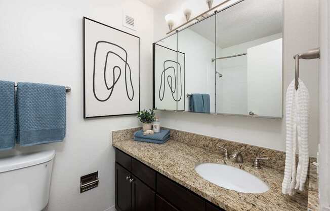 a bathroom with a large mirror and a sink