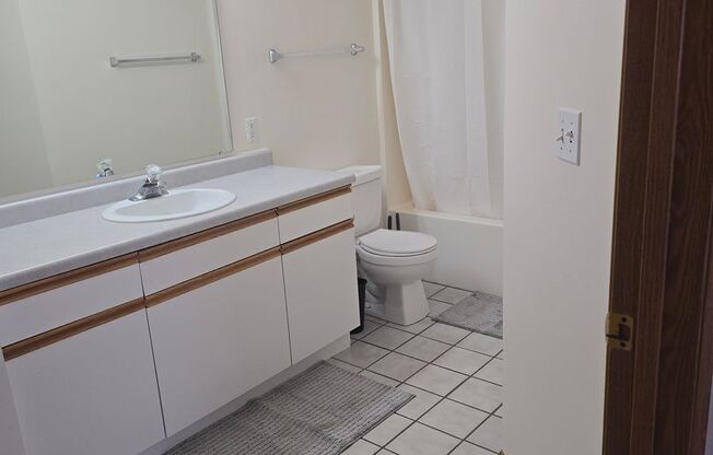 1 bed, 1 bath, 750 sqft, $1,375, Unit 3029-329