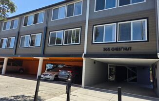 MG22-305 Chestnut Street