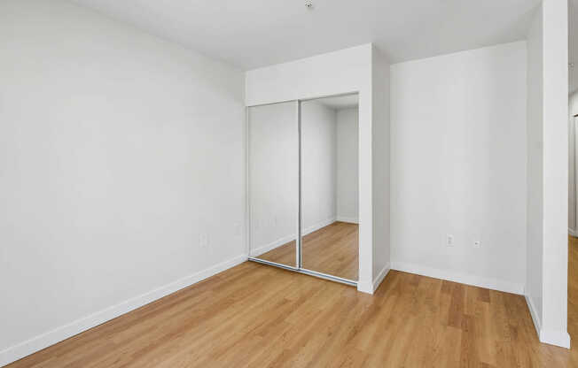 Studio with Hard Surface Flooring