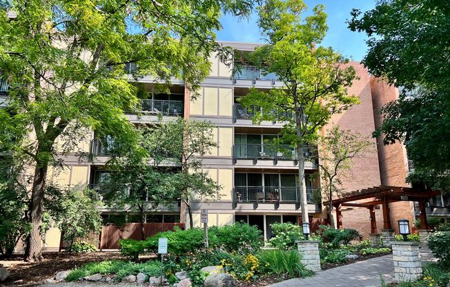 Bright and Relaxing 3rd floor OPEN CONCEPT 1 Bed / 1 Bath Condo For Rent! In-Unit Washer & Dryer! Parking and Water INCLUDED!