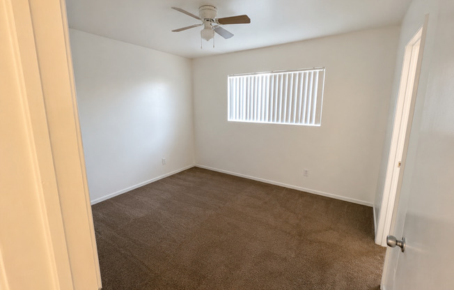 College Apartments