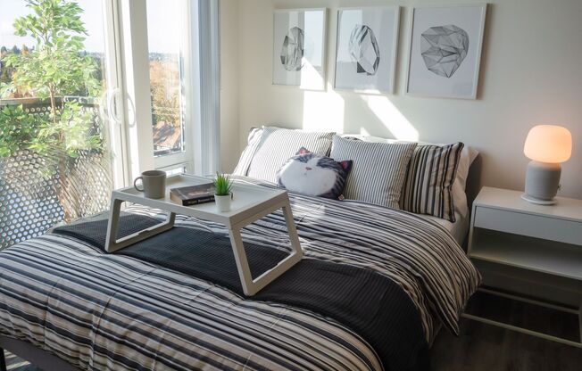 Studio, 1 bath, 339 sqft, $1,799, Unit 406