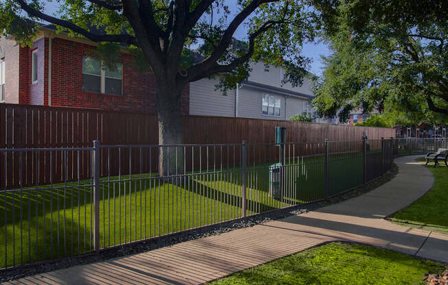 A tree in a yard behind a fence.