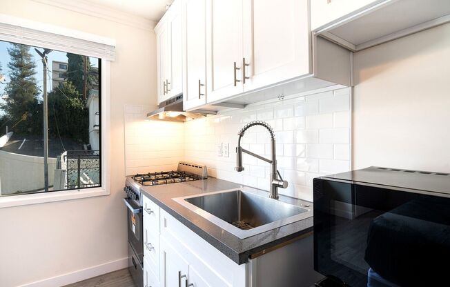 Studio, 1 bath, 126 sqft, $1,695, Unit 230