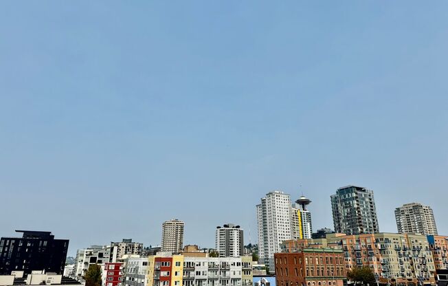 $250 off First Month's Rent!!!! Downtown Condo with City View!!