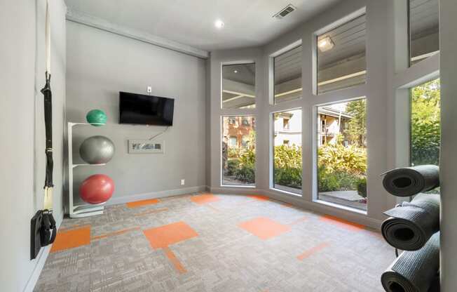 state of the art fitness center in webster apartments