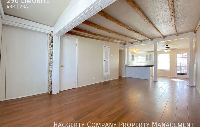 290 LIMONITE