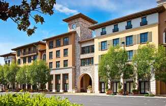 A large building with a clock tower and a row of trees in front.