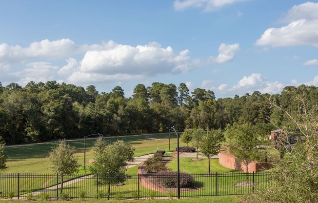 local tree tops near by our facility