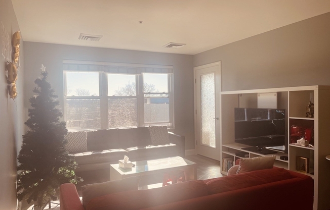 2 beds, 2 baths, 1,170 sqft, $3,700, Unit 304