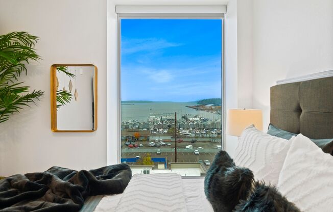 2 beds, 1 bath, 902 sqft, $4,150, Unit 410-701