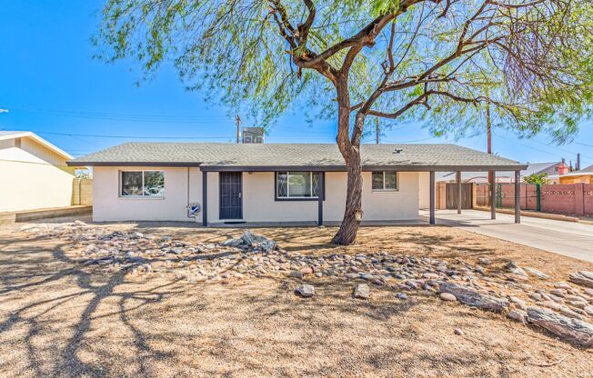 Great Location 4 Bed 2 Bath Home in Mesa