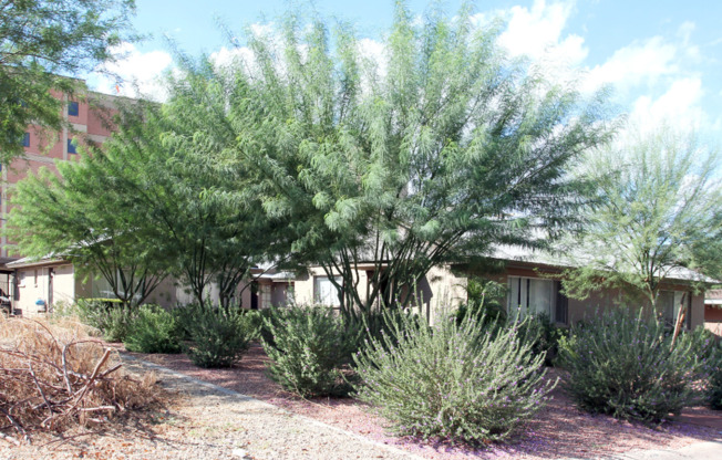 2001 &amp; 2007 W Berridge Ln