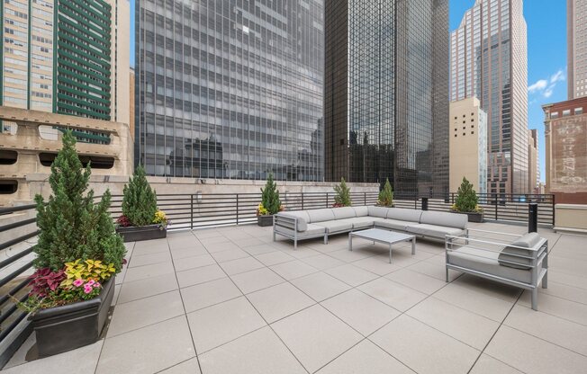 Mid Elm Lofts