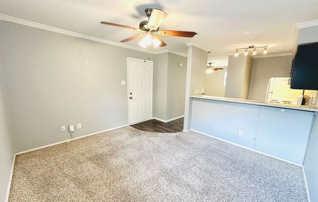 Studio, 1 bath, 500 sqft, $795, Unit 219