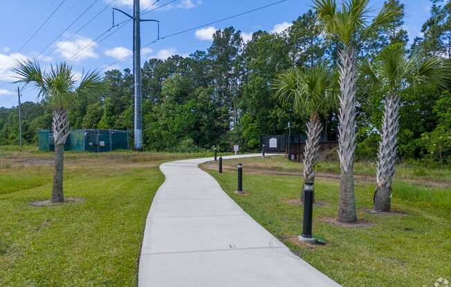 A walkway with palm trees on either side.