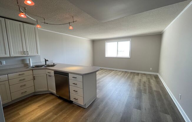 1 bed, 1 bath, $1,095