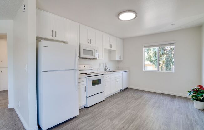 Winter Gardens | 1 & 2 Bedroom Apartments with Parking and Sparkling Pool!