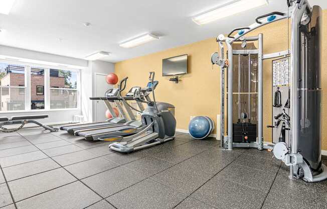 A gym with treadmills, exercise balls, and weight machines.