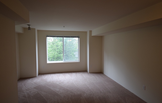 2 beds, 2 baths, 955 sqft, $2,595, Unit 303