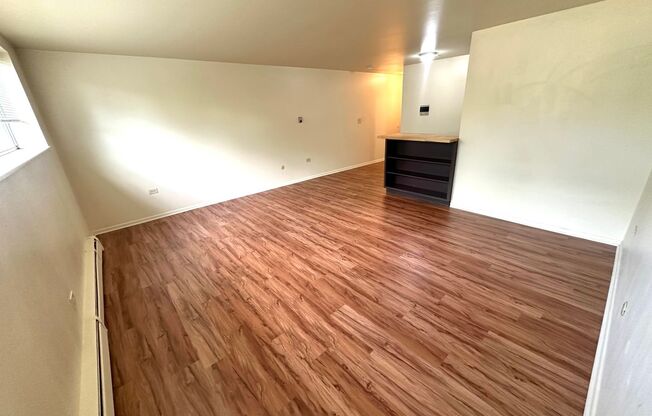 Studio, 1 bath, 450 sqft, $1,200