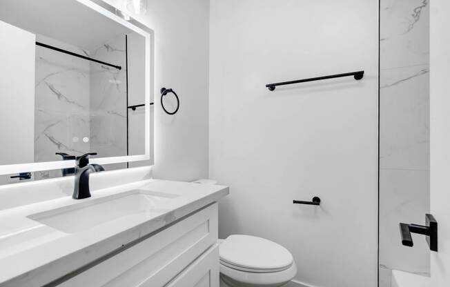 a bathroom with a sink and a mirror and a toilet