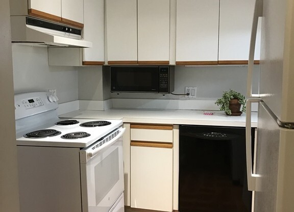 1 bed, 1 bath, 728 sqft, $3,100, Unit 3