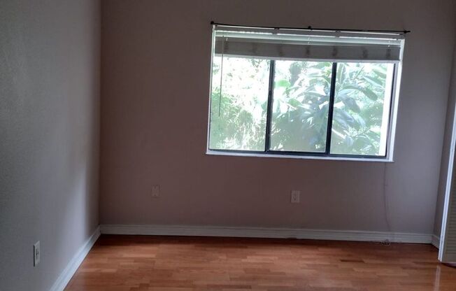 1 bed, 1 bath, $1,250