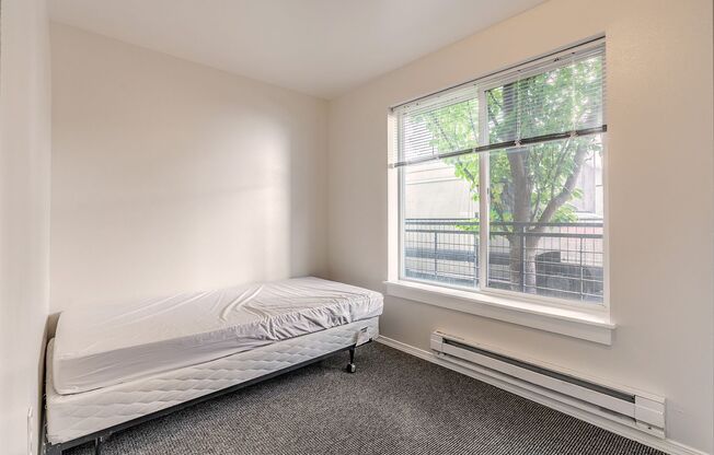 Cozy Studios in the U District