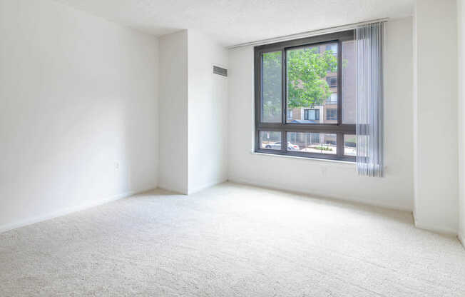 Carpeted Bedroom