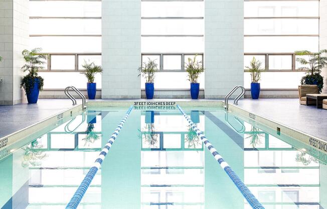 1 bed, 1 bath, 592 sqft, $4,750, Unit 3101