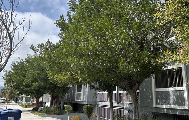 309 East Elk Avenue