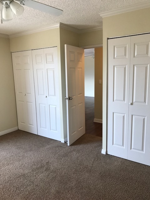 1 bed, 1 bath, 734 sqft, $1,153, Unit 505
