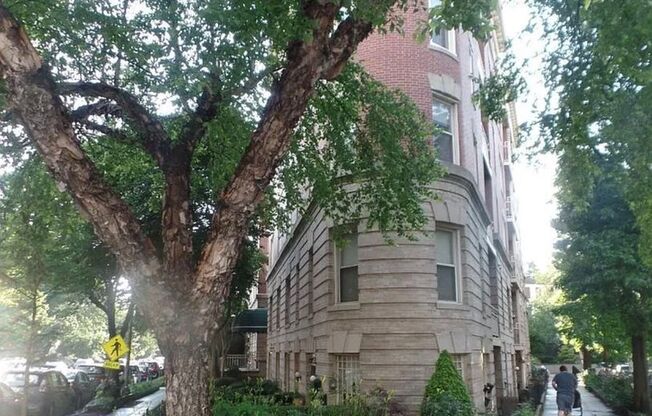 Spacious 1 Bedroom unit in Adams Morgan area