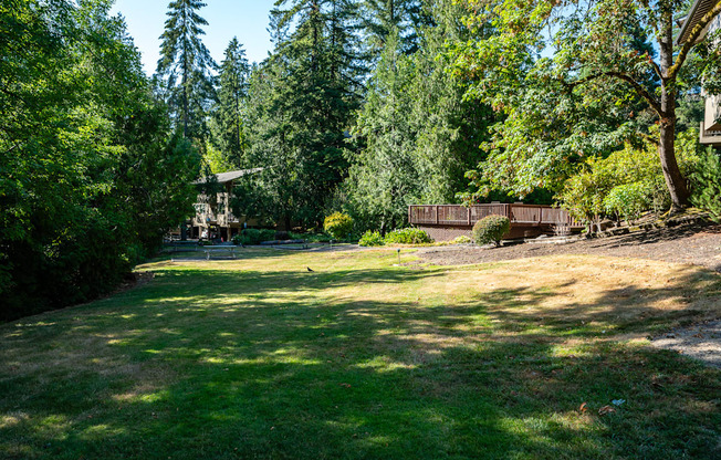 Green lawn and trees.