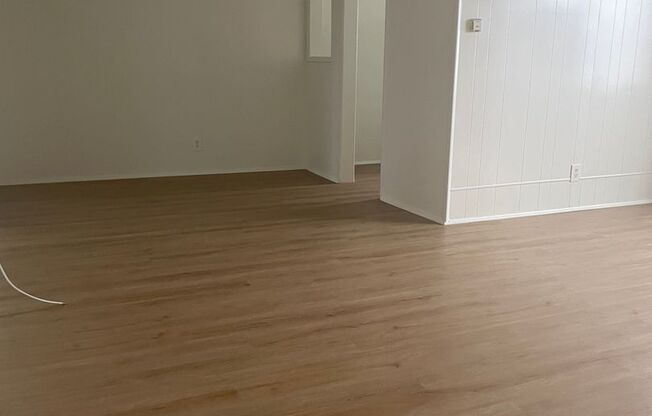 Elm 320