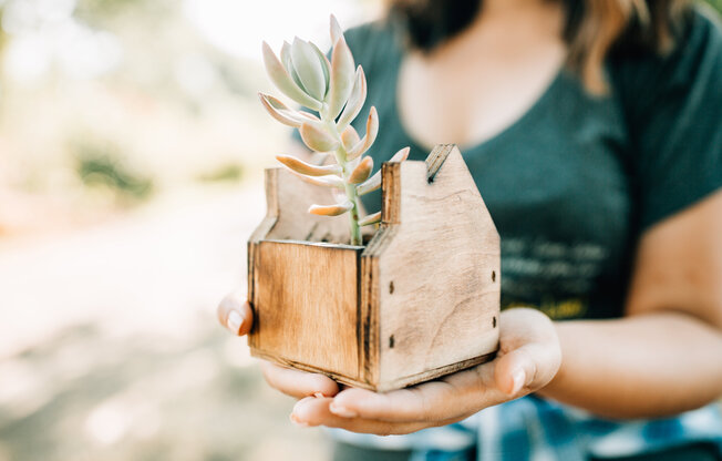Young woman out of frame, holding a wooden planter box shaped like a house with a succulent planted inside