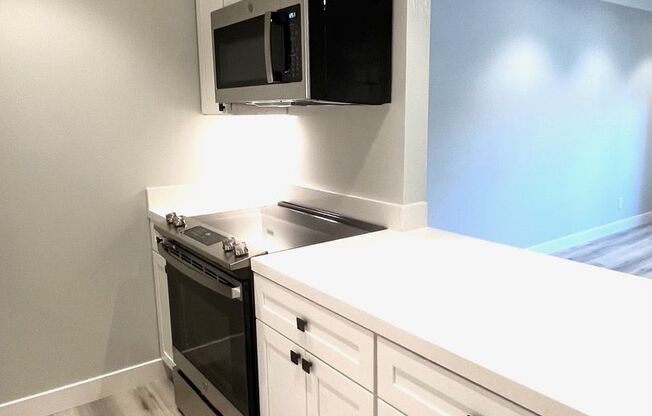 1 bed, 1 bath, 595 sqft, $2,895, Unit 305