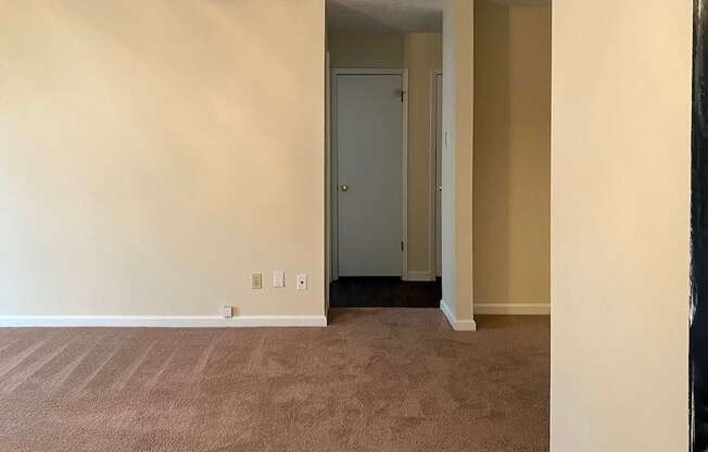 living room with plush carpeting