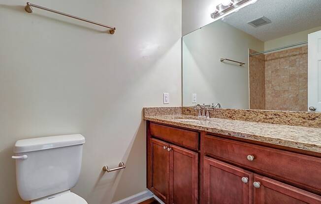 Bathroom with a toilet sink and mirror at River Crossing Apartments, Georgia