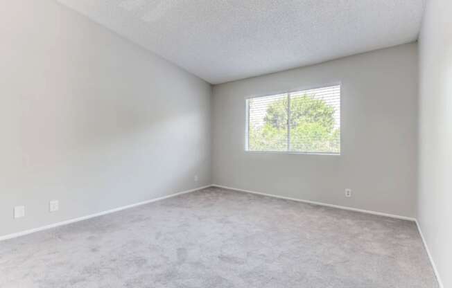 an empty bedroom with a large window