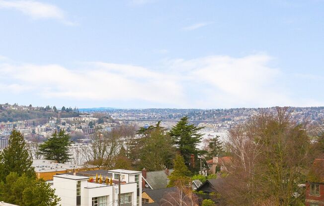 Studio, 1 bath, 244 sqft, $1,615, Unit 307 - Furnished