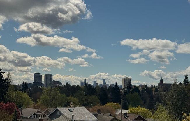 1 bed, 1 bath, 528 sqft, $2,300, Unit 407