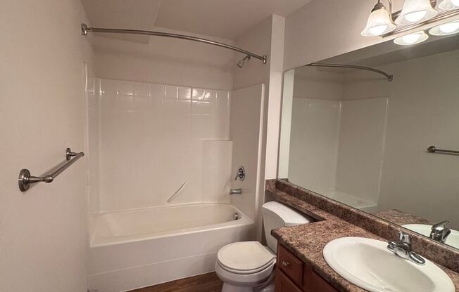 Studio, 1 bath, 409 sqft, $1,520, Unit C303